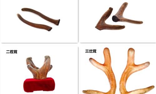 婴儿血管痣会自动消除吗-婴儿血管痣消失的原因-婴儿血管痣图片,中国婴儿血管痣消失网站